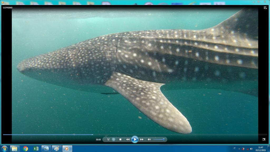 389c9afe-5722-43e4-845c-70f2e037476e