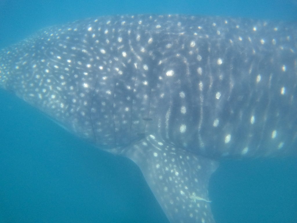 04152c5f-9ae2-4c1f-b80f-2c5cd8aade1e