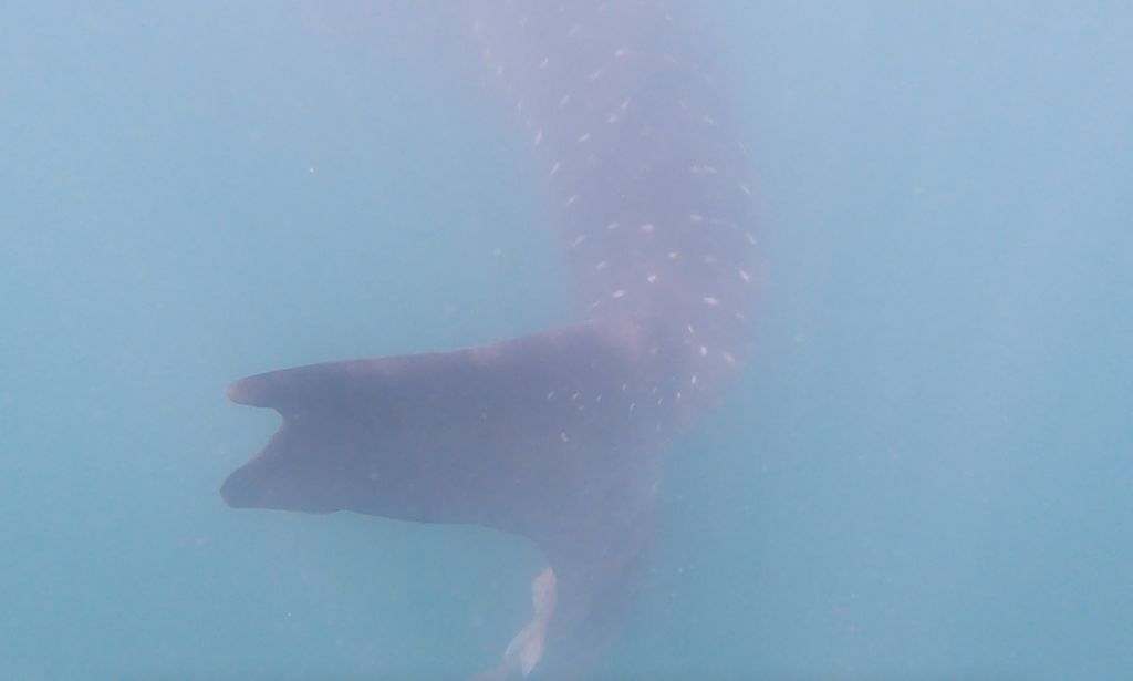 5e144b11-30c3-4f20-b7db-1d32e991afb1