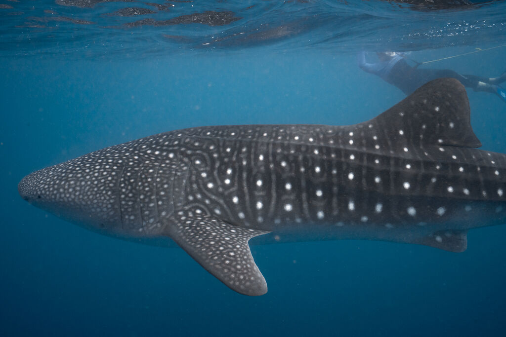 11888fbd-afdc-4706-a68f-28e5d2d8a575