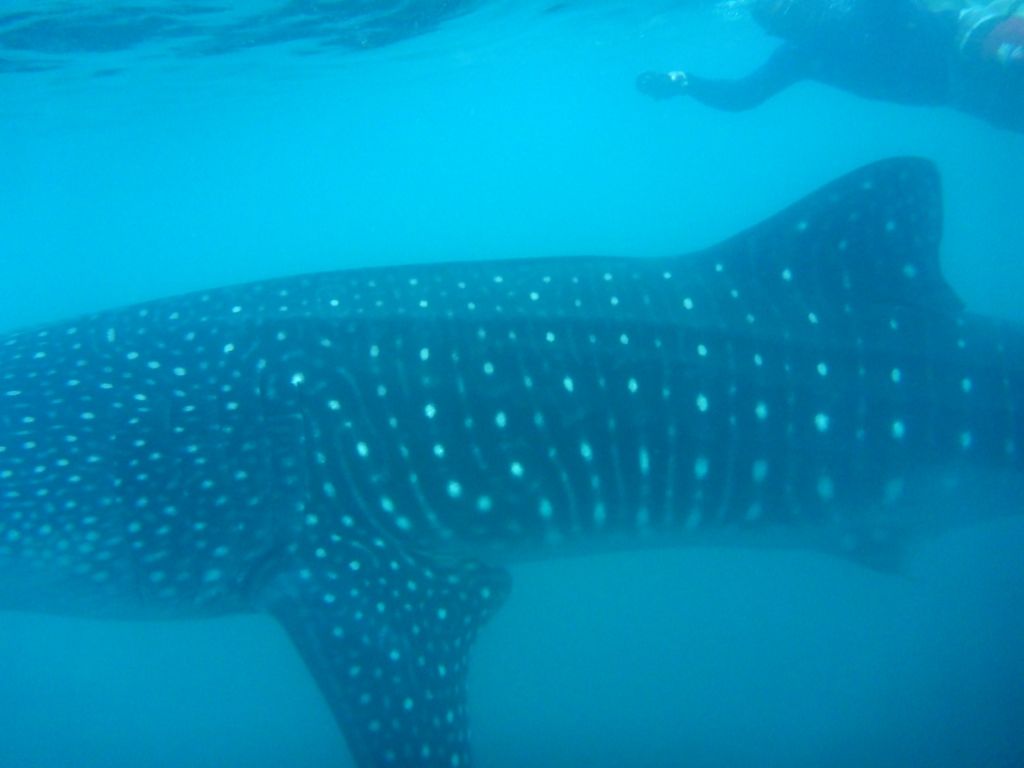 e0edbcf4-7bbb-447d-8a8f-5bfb16c5cb31