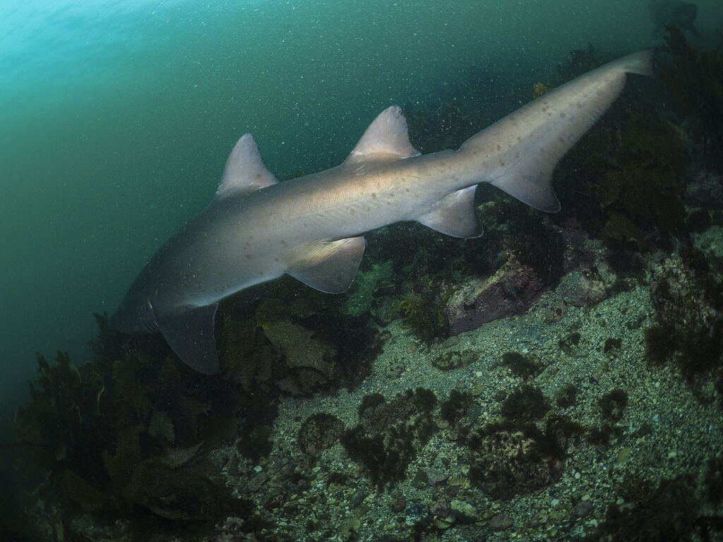 f794932c-58d1-4bfe-8d16-0ea38accaf8c