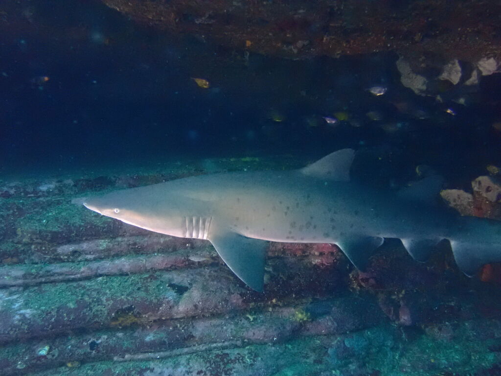 b94d8848-e2e5-4f27-9392-64ce29f21447