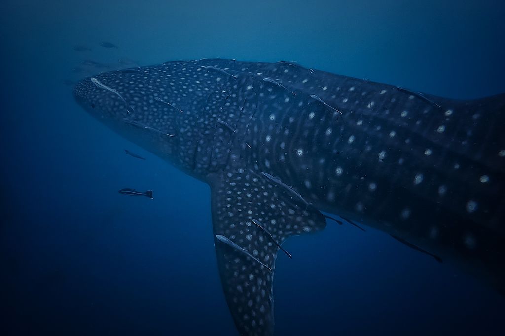 3410e46d-04a3-478d-bd7b-d15bc9f33585