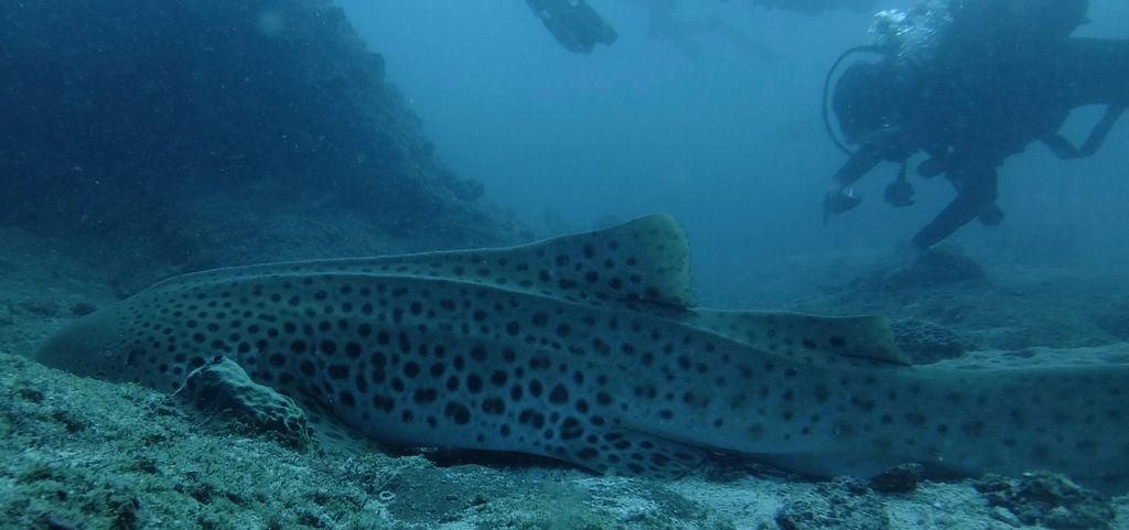 7fb7061e-bf2a-4b22-be13-cc38c0c33712