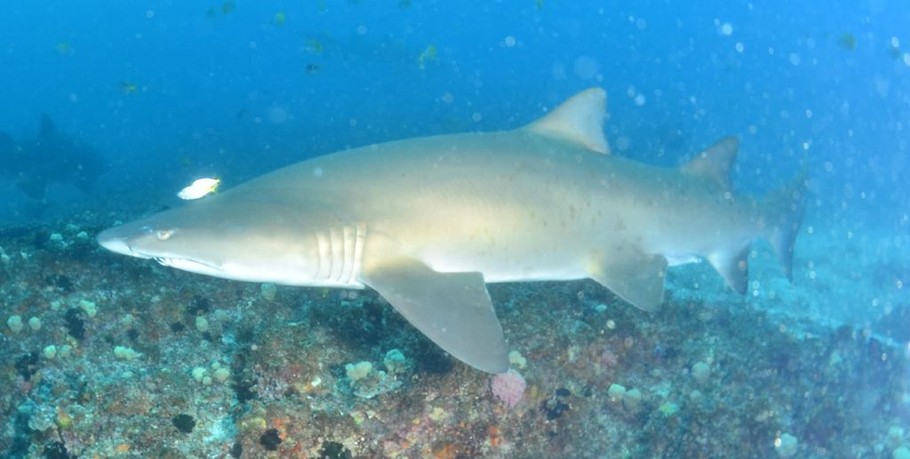 9ec1081a-f6c6-433d-a167-5b954bdef90d