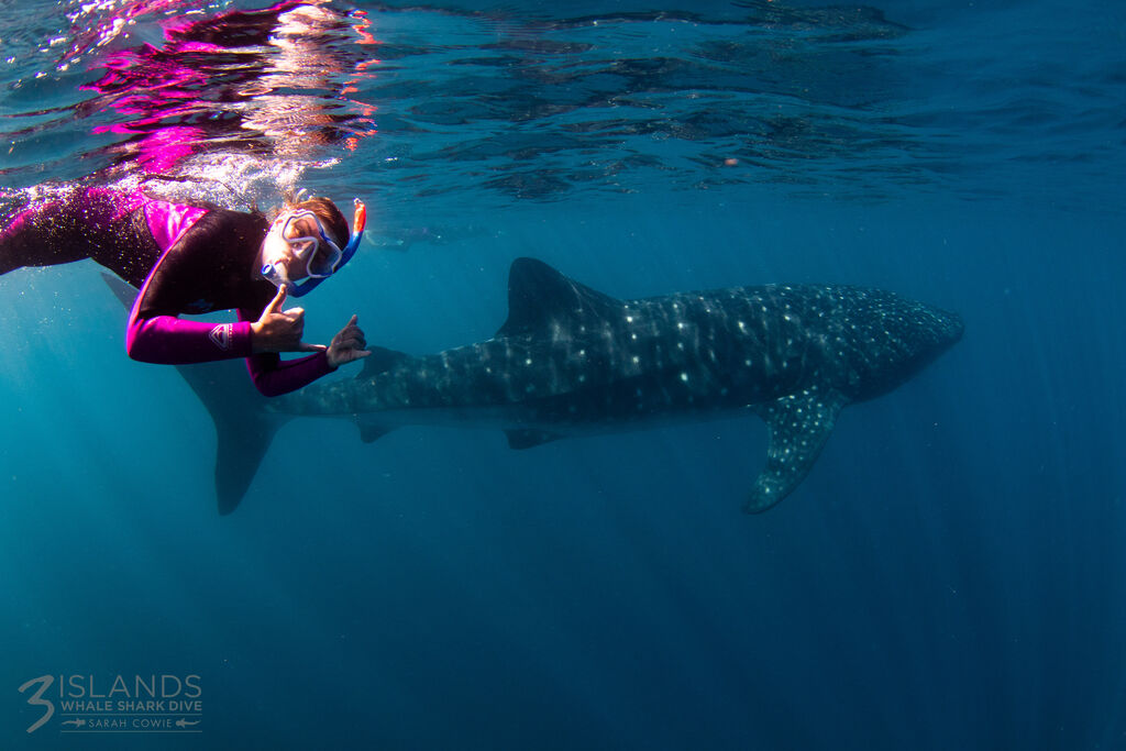 449d83f2-2e8f-41d9-a1b0-6ae632a5a75e