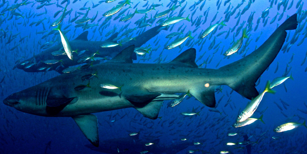 f67c19fb-f70d-4be3-8be6-3f3a7a306e66