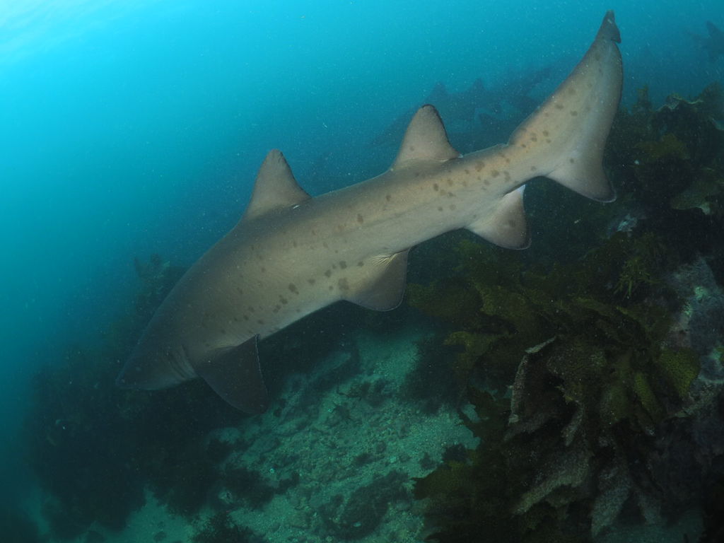 306f92c1-65d1-4f9b-b2d8-06f79fdd8b8e