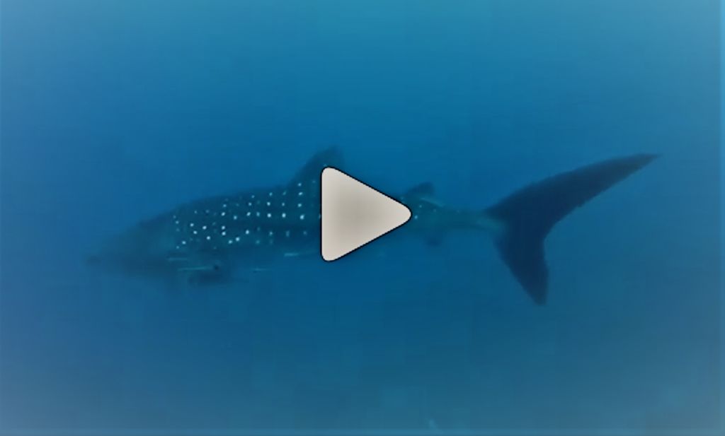 c8916edc-1a7c-49c0-8fdf-43facd8c7cb8