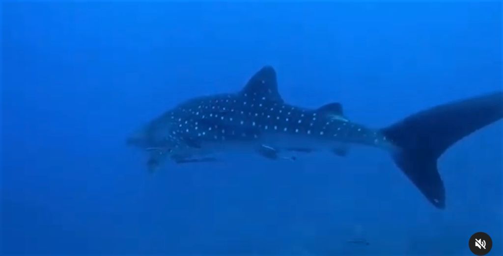 c8916edc-1a7c-49c0-8fdf-43facd8c7cb8