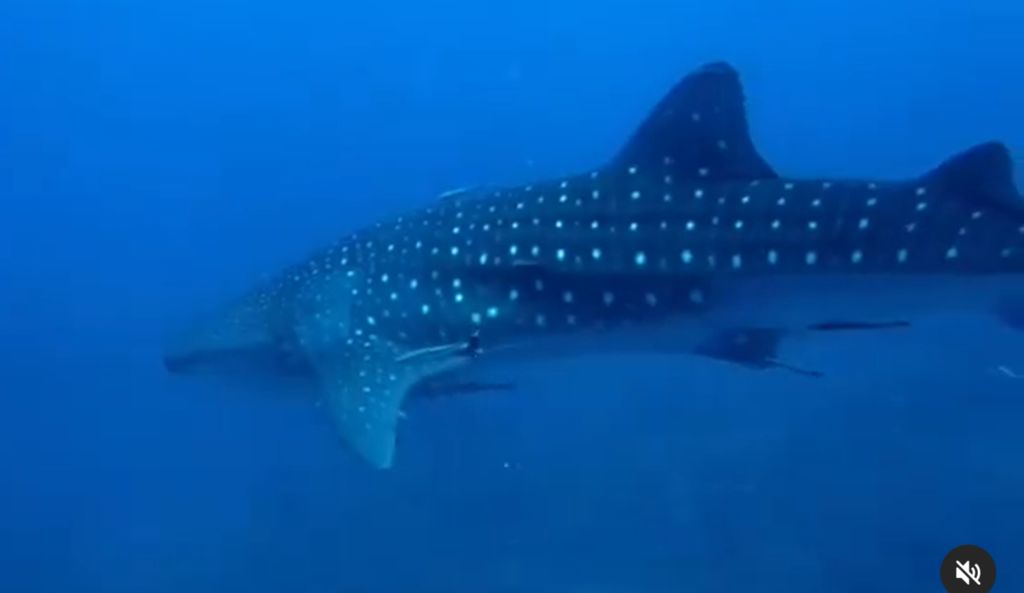 c8916edc-1a7c-49c0-8fdf-43facd8c7cb8