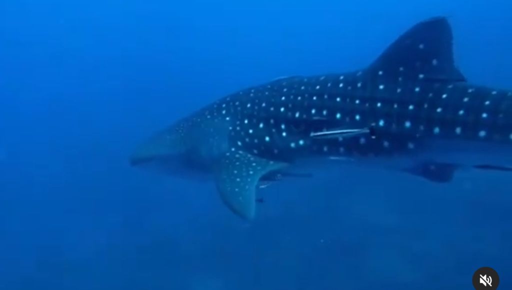 c8916edc-1a7c-49c0-8fdf-43facd8c7cb8