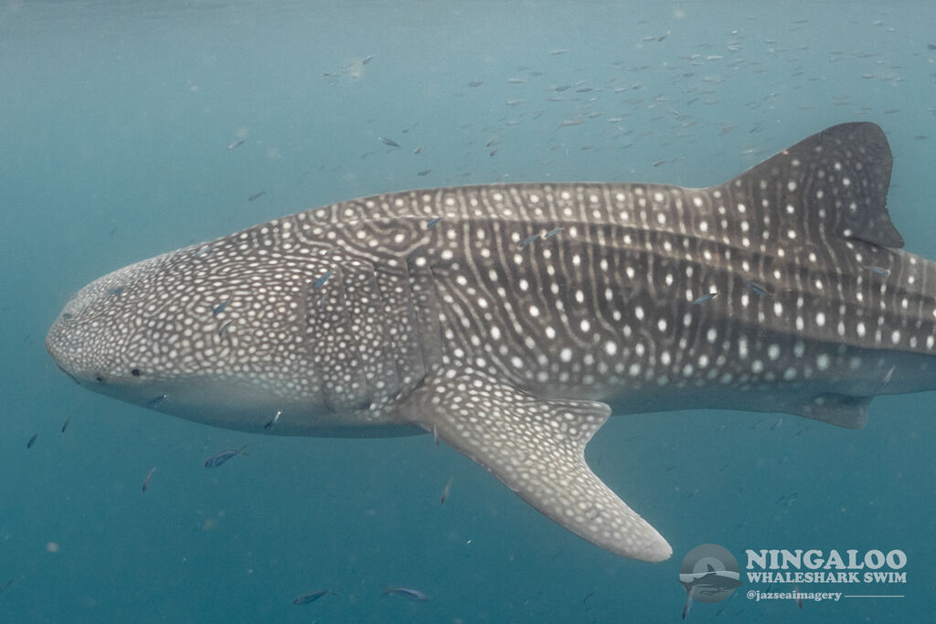 b515e40f-ae5f-40da-a04f-a36d15ba0aaa