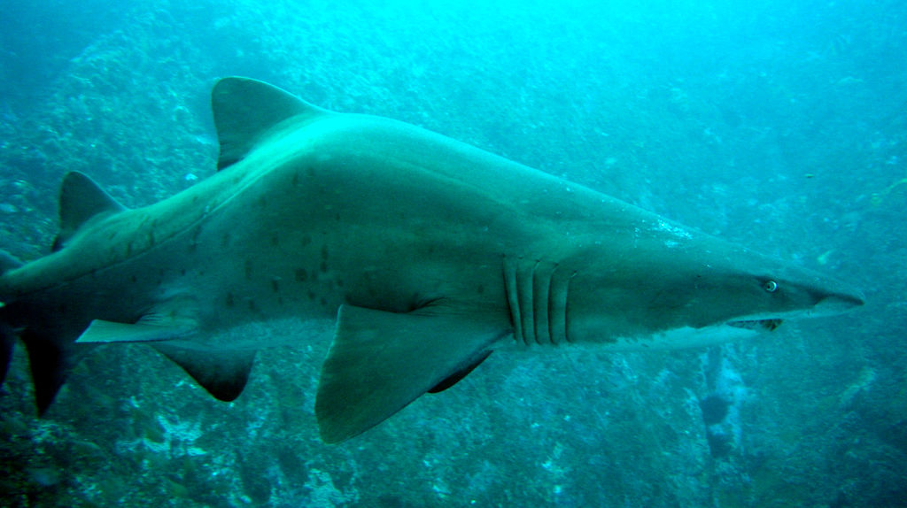 3e672358-6152-4b55-8bdd-aa331df145c1