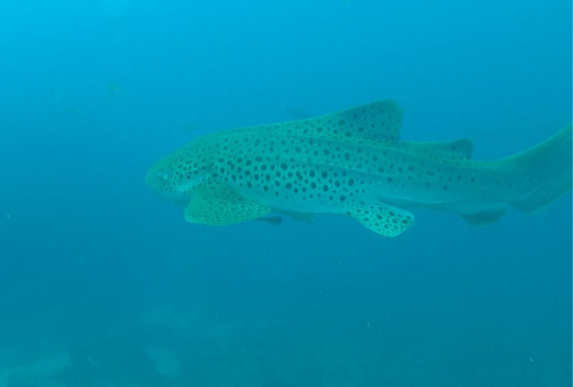 d5244b1b-6912-46a7-a00a-5fa78ccb7639