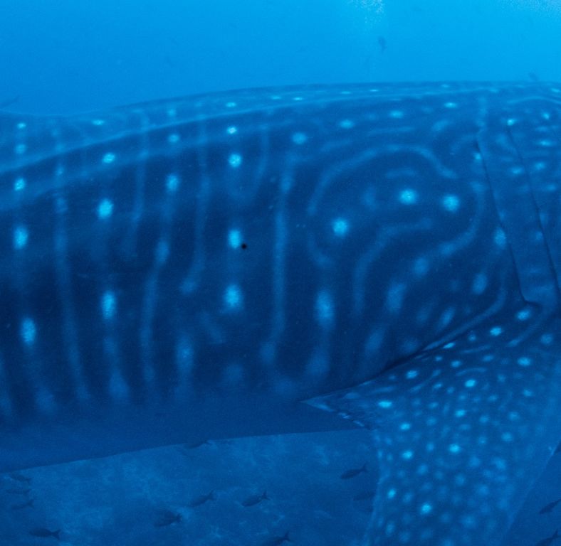 11e7f8cc-00db-480b-8051-99bc78844388