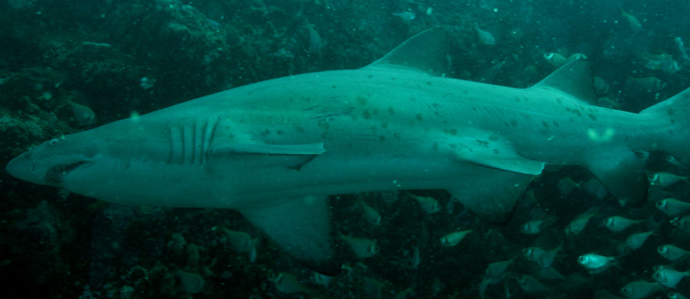 e2f9a152-16ee-4168-b731-ff639132833b