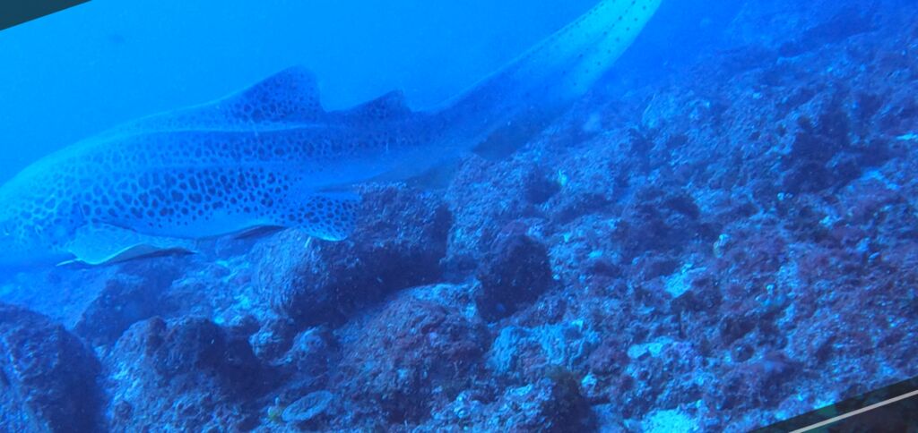 670f984d-e40d-4b4c-8170-c85f182e55d4