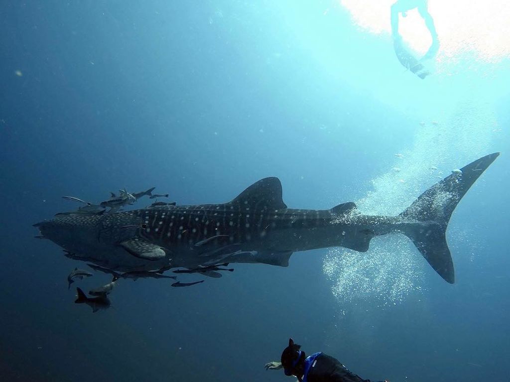 4f49ebb7-3801-4630-94c7-2527f50222d5