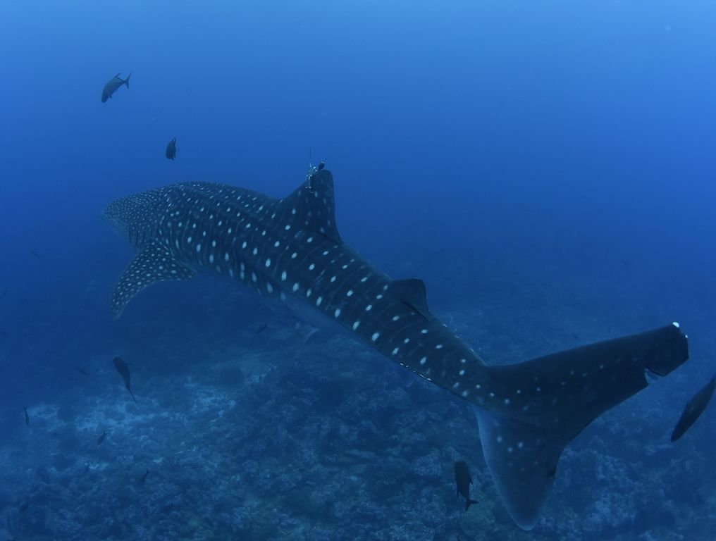 8682ddf6-222f-415d-9364-02fe158054dc