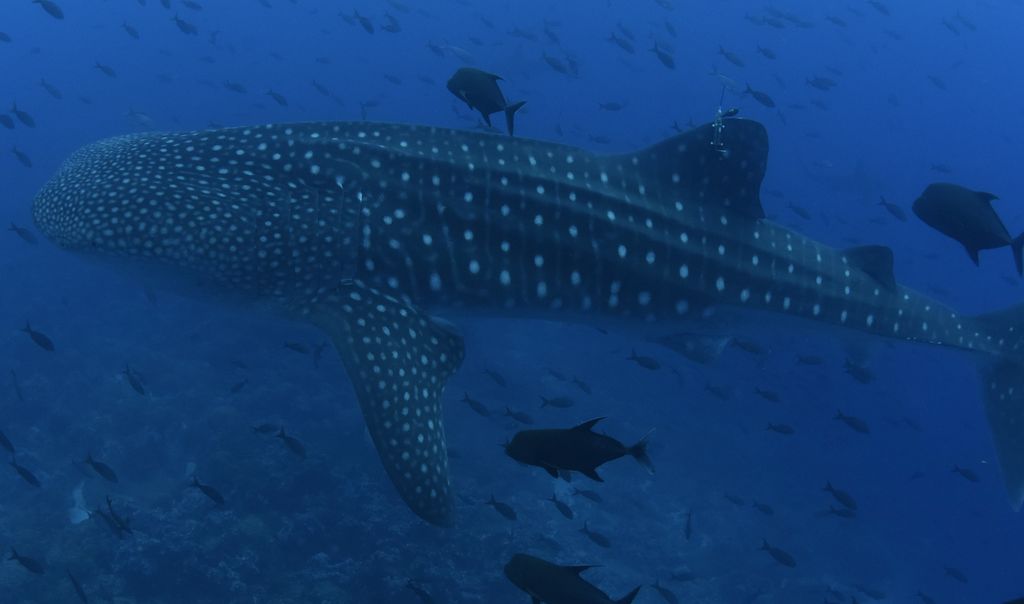 8682ddf6-222f-415d-9364-02fe158054dc