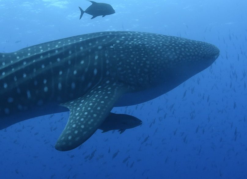 8682ddf6-222f-415d-9364-02fe158054dc