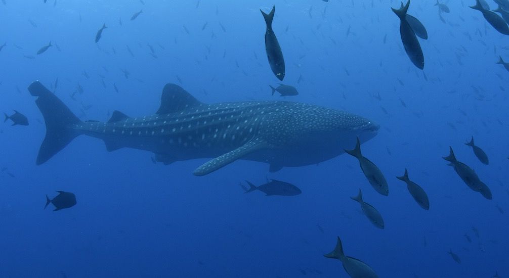 8682ddf6-222f-415d-9364-02fe158054dc