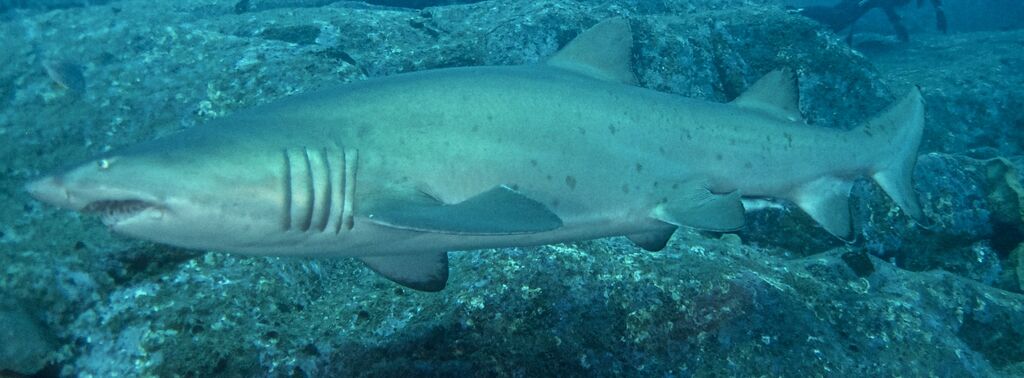 7ecc17cb-1e84-4f56-a871-23bf9b466afa