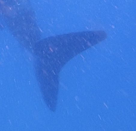 280cf3ab-e656-410e-a0c7-a7ce0ec3e6c5