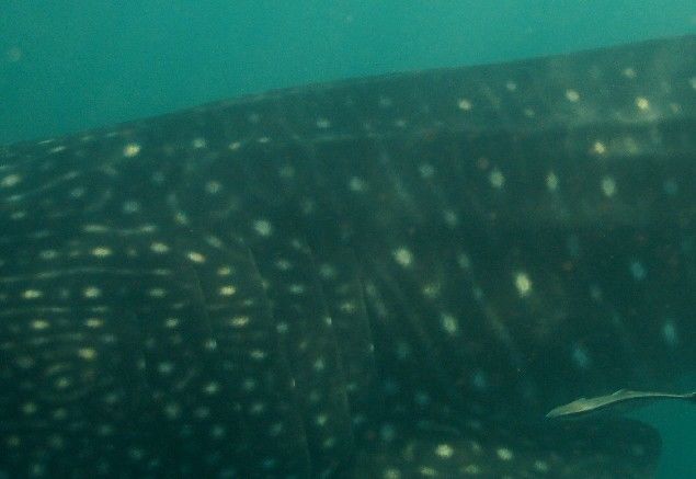 4a4db2e0-41b7-4268-b408-e765cdb831a8