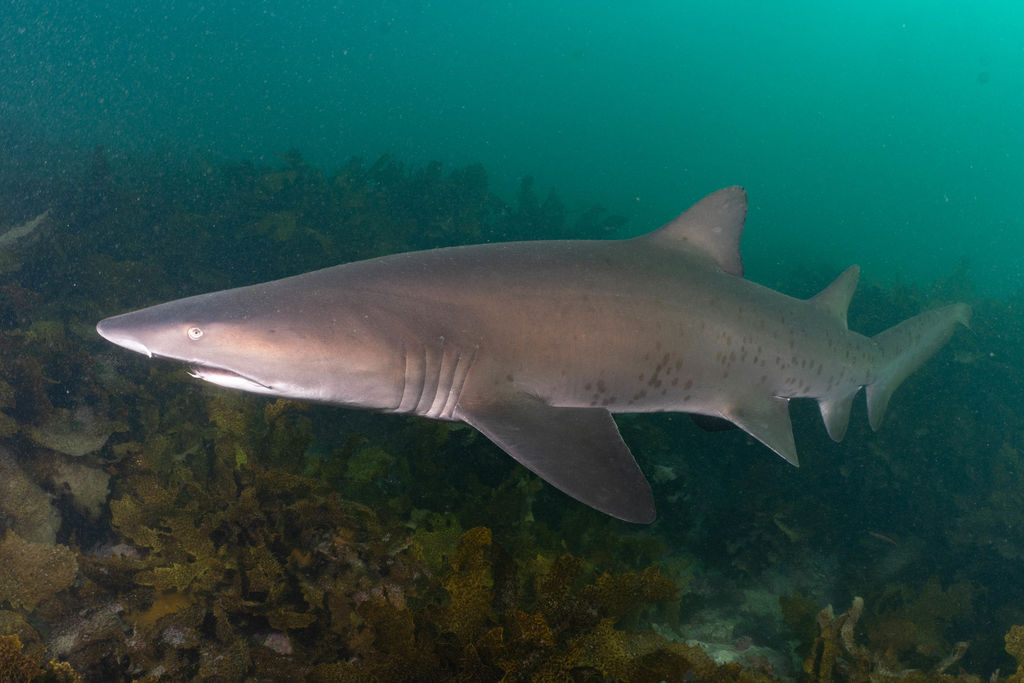 3040e655-d9bc-4655-abc0-5a61c5508e1d