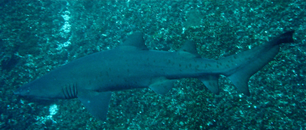 03760a88-4acb-4b70-89cf-c7f486c8e16a