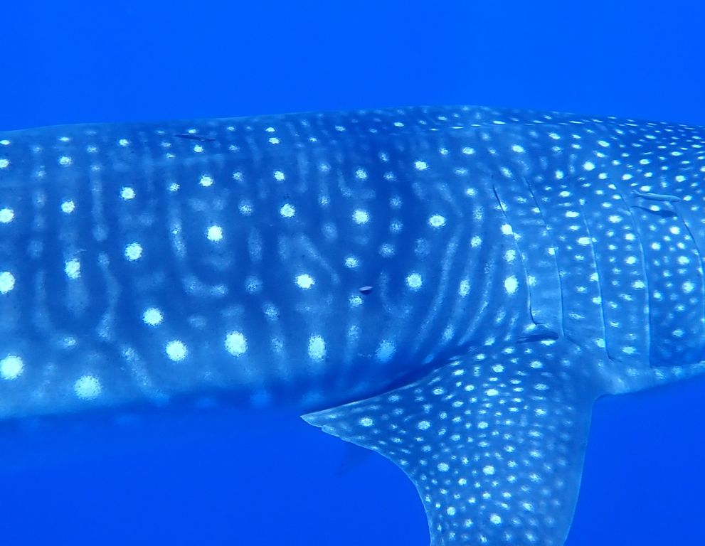 9f06e5d4-69b1-4c6c-b971-166fc0519a52