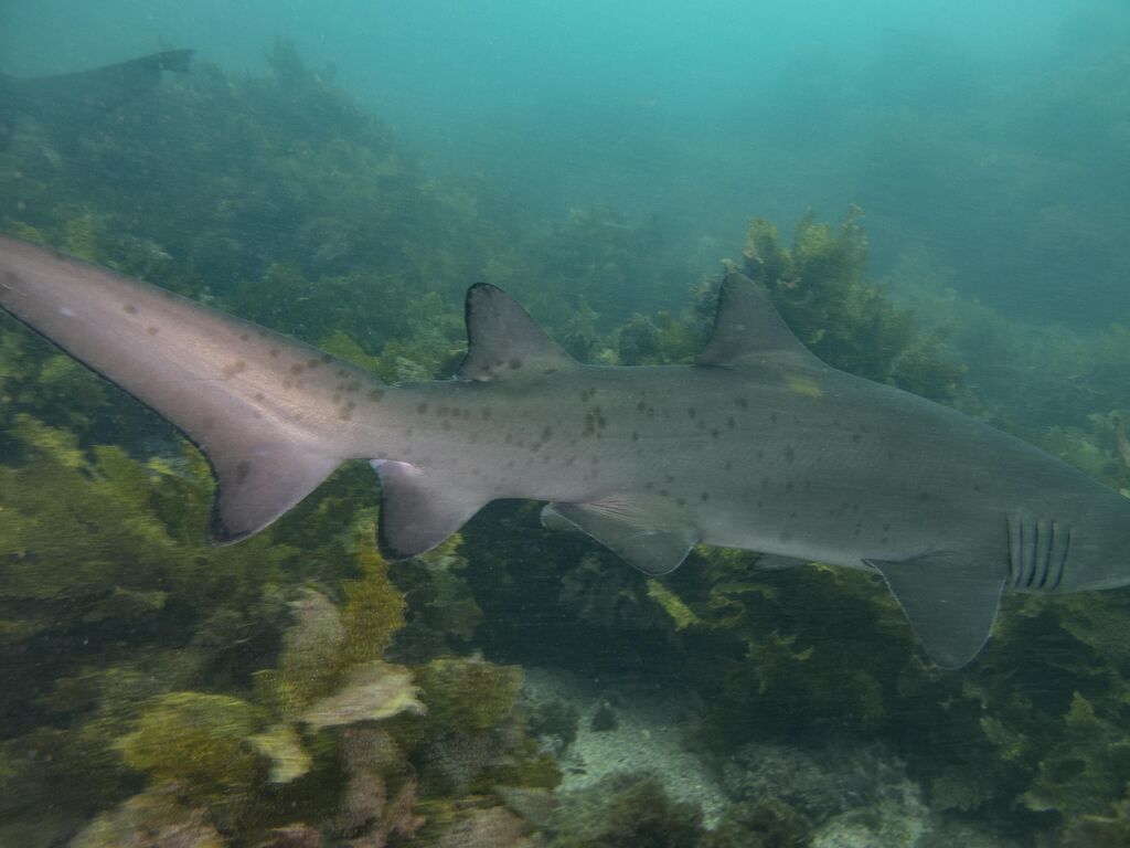 b666afcd-9b8d-4545-ba97-7194235fd600