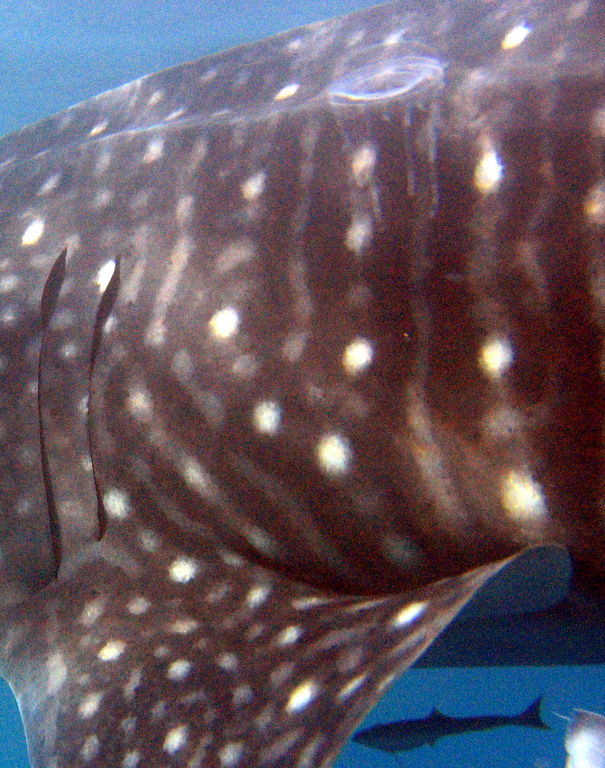 91057850-0ec8-4cf8-83f6-431d3be3a631