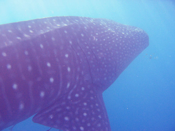 91057850-0ec8-4cf8-83f6-431d3be3a631