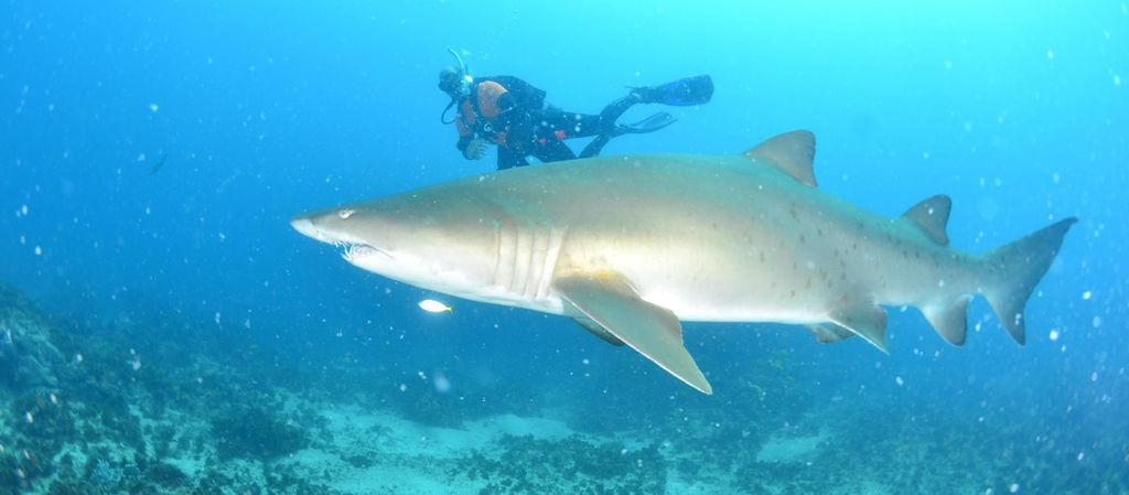 28ec6499-edc8-4a64-a97d-bee4896a56fa