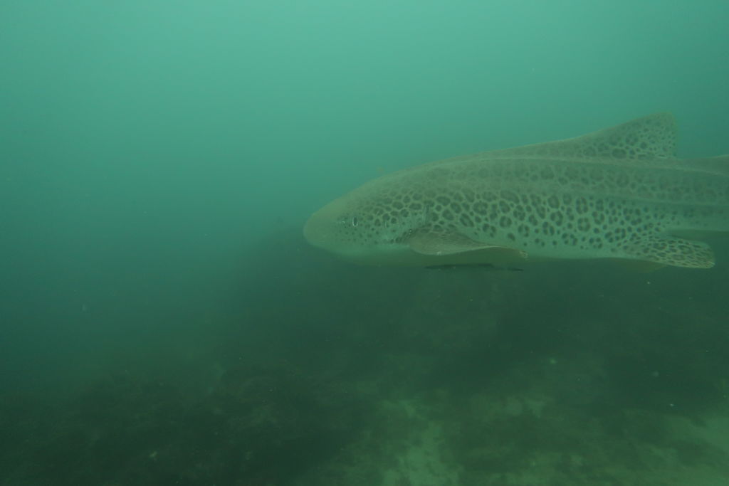 f9e10667-a551-4ca1-aa2b-fb8403cdd366