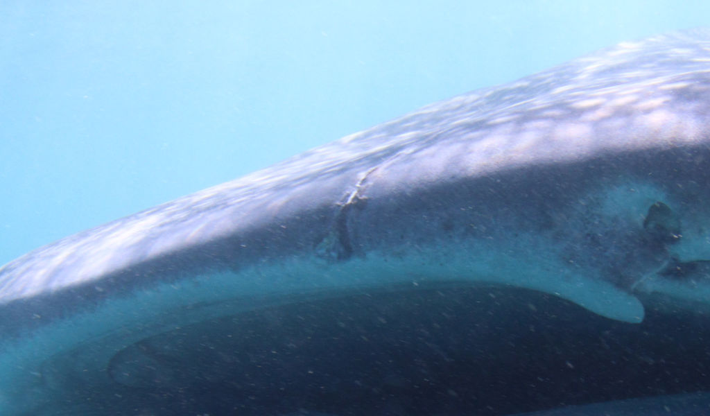 8fed8f03-d187-4697-8b1b-52765f63da9e