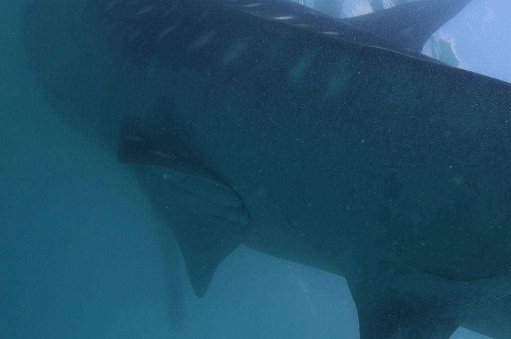 8fed8f03-d187-4697-8b1b-52765f63da9e