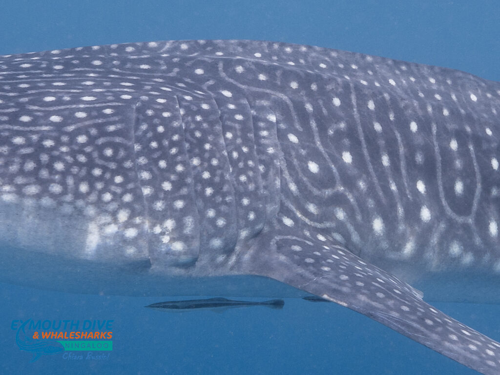 98861bd2-8076-41fd-a923-3962f3bbb633