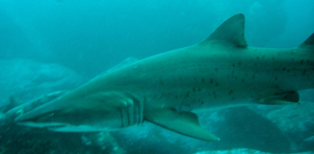 d4bd4102-eaae-4f37-b05a-6a135f5cd605