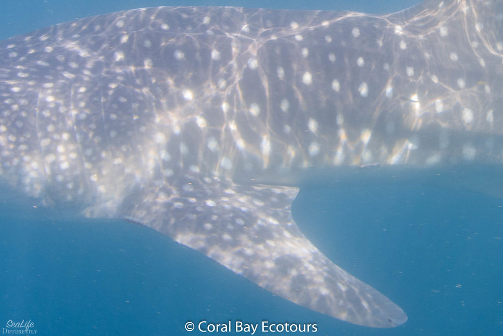 6b291f22-f08f-47fd-8263-6c204a4a2024