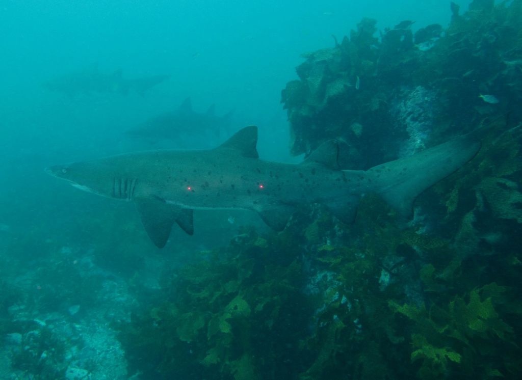 71a15306-36a0-4ac7-af63-293a29b8f450