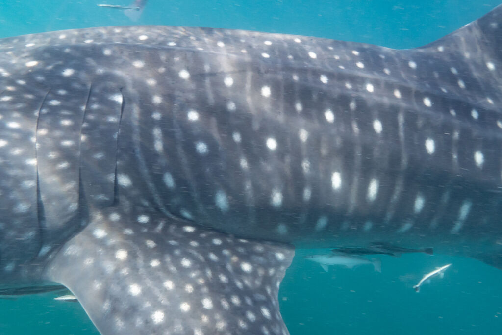 848e8536-4bde-4b25-a927-9905be4e645e