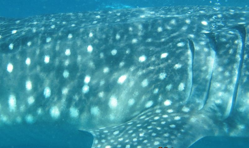 b96cec61-4149-4122-95e3-935b6ab99f28