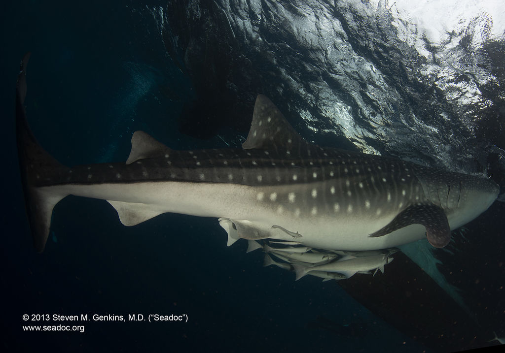 821d7b4a-7075-42b4-8caa-f392e4468b25