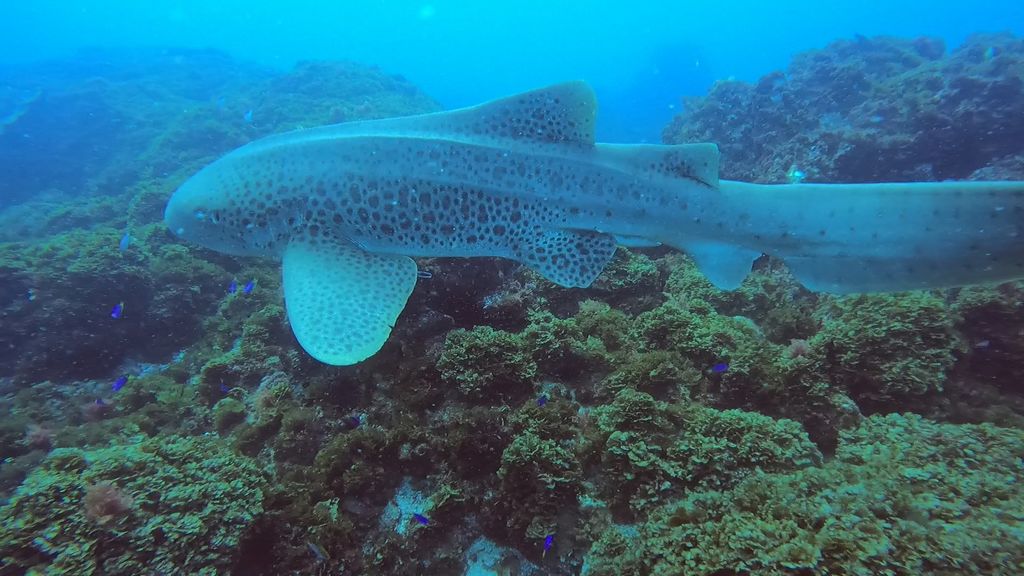 8bcf6a6c-1650-4c9b-81cb-0748c36b5cc1