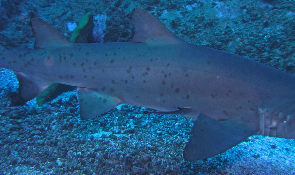 18d2efe5-90aa-4bfa-b377-5b050bba47da